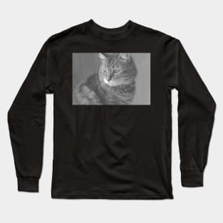 Beautiful Cat Long Sleeve T-Shirt